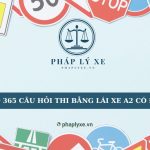 Bộ 365 câu hỏi thi bằng lái xe A2 có đáp án