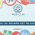 Các câu hỏi điểm liệt thi lái xe B1