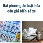 Hai phương án luật hóa đấu giá biển số xe