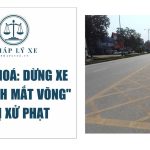 Thanh Hoá Dừng xe tại vạch mắt võng sẽ bị xử phạt (2)