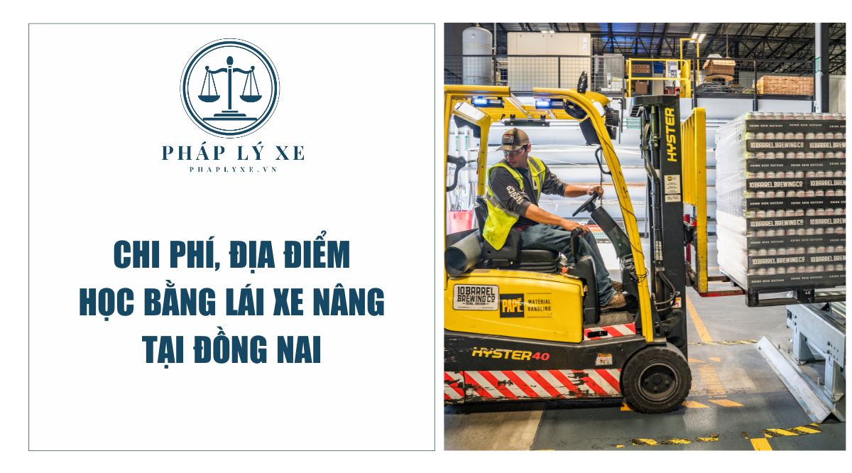 Chi phí, địa điểm học bằng lái xe nâng tại Đồng Nai