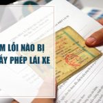 Vi phạm lỗi nào bị tước giấy phép lái xe