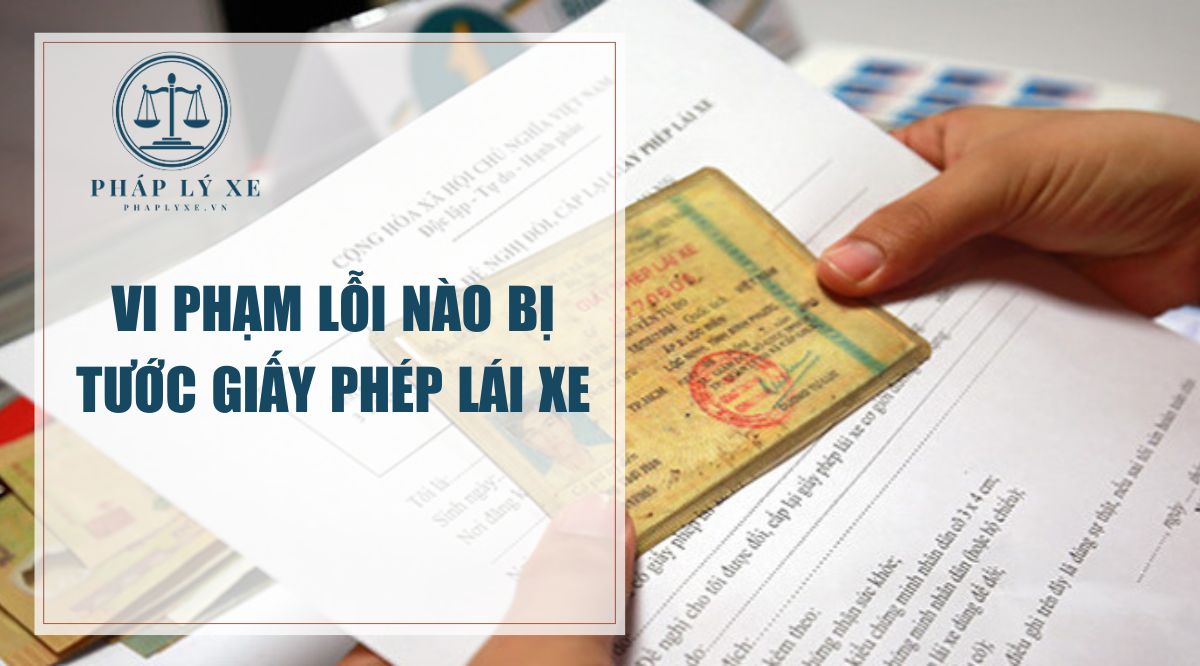 Vi phạm lỗi nào bị tước giấy phép lái xe