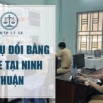 Dịch vụ đổi bằng lái xe tại Ninh Thuận