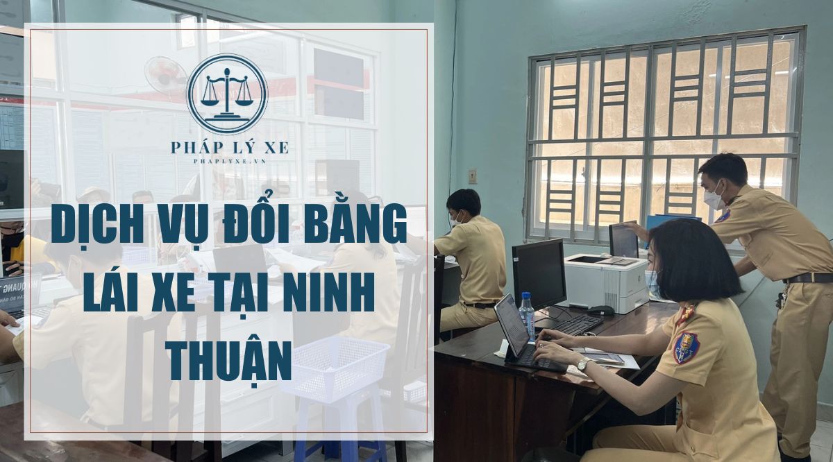 Dịch vụ đổi bằng lái xe tại Ninh Thuận