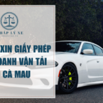 Dịch vụ xin giấy phép kinh doanh vận tải tại Cà Mau