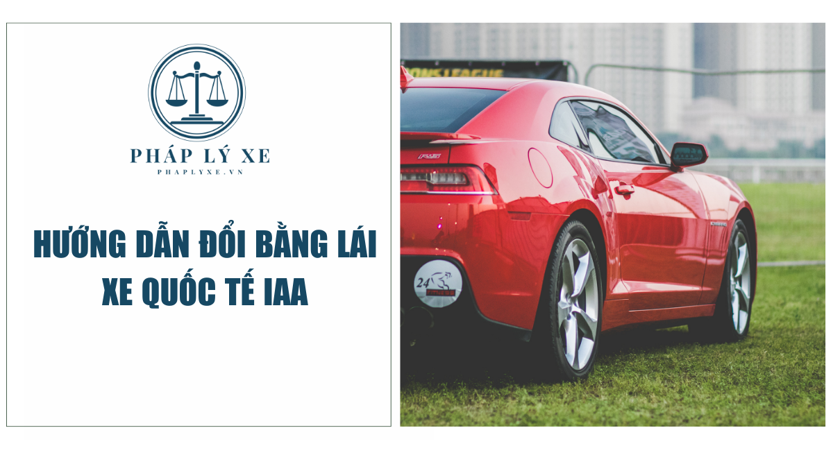 Hướng dẫn đổi bằng lái xe quốc tế IAA