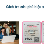 Cách tra cứu phù hiệu xe tải