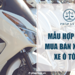 Mẫu hợp đồng mua bán xe máy, xe ô tô cũ