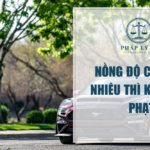 Nồng độ cồn bao nhiêu thì không bị phạt