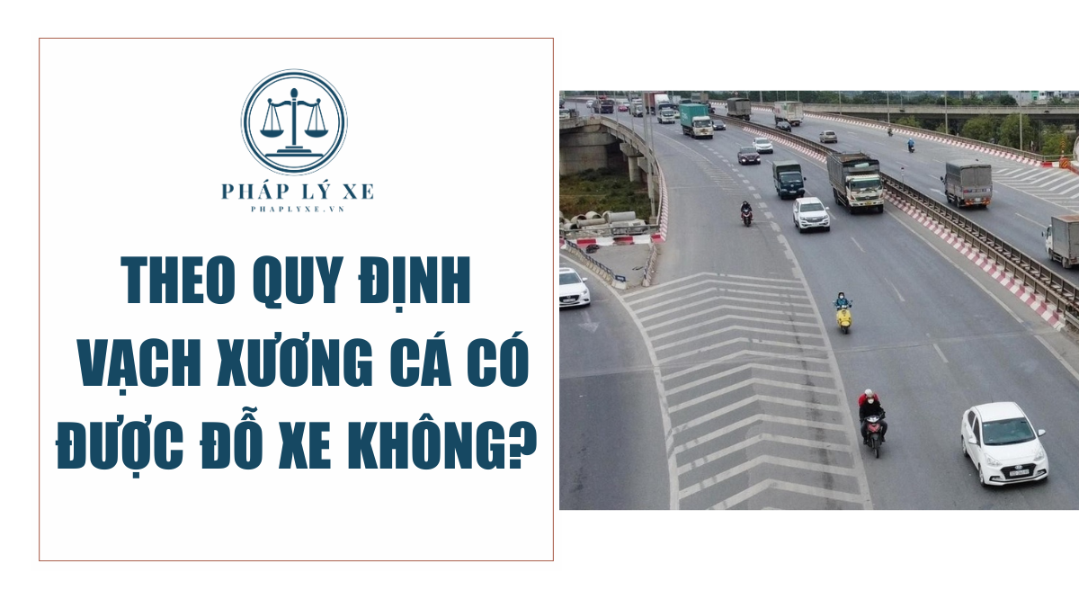 Theo quy định vạch xương cá có được đỗ xe không