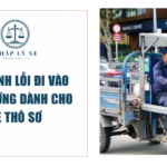 Quy định lỗi đi vào làn đường dành cho xe thô sơ