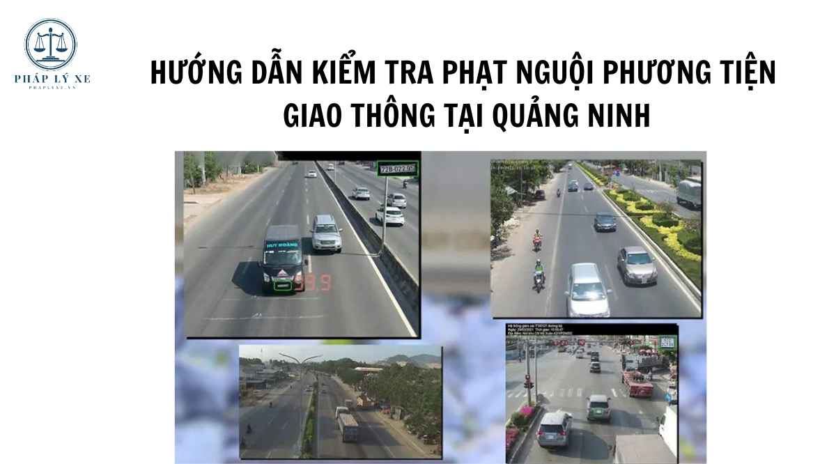 Hướng dẫn kiểm tra phạt nguội phương tiện giao thông tại Quảng Ninh