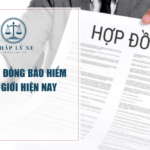 Mẫu hợp đồng bảo hiểm xe cơ giới hiện nay