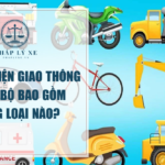 Phương tiện giao thông đường bộ bao gồm những loại nào