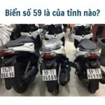 Biển số 59 là của tỉnh nào?