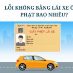 Lỗi không bằng lái xe ô tô phạt bao nhiêu?