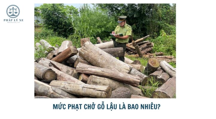 Mức phạt chở gỗ lậu là bao nhiêu?