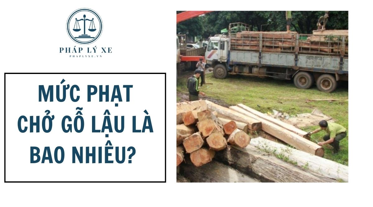 Mức phạt chở gỗ lậu là bao nhiêu? 