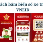 Cách bấm biển số xe trên VNEID