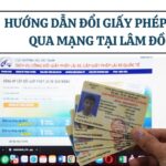 Hướng dẫn đổi giấy phép lái xe qua mạng tại Lâm Đồng