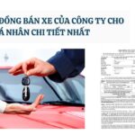 Mẫu hợp đồng bán xe của công ty cho cá nhân chi tiết nhất