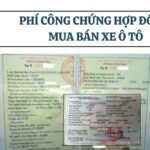 Phí công chứng hợp đồng mua bán xe ô tô