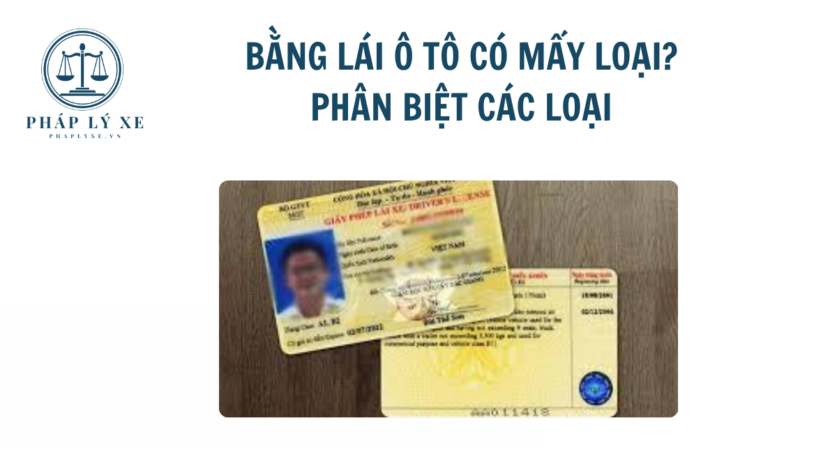 Bằng lái ô tô có mấy loại Phân biệt các loại