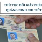 Thủ tục đổi giấy phép lái xe Quảng Ninh chi tiết nhất