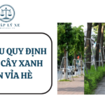 Tìm hiểu quy định trồng cây xanh trên vỉa hè