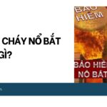 Bảo hiểm cháy nổ bắt buộc là gì?.jpg