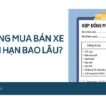 Hợp đồng mua bán xe có thời hạn bao lâu?.jpg