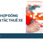 Mẫu hợp đồng nguyên tắc thuê xe.jpg