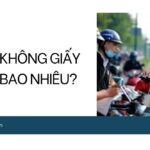 Xe 50cc không giấy tờ phạt bao nhiêu?.jpg