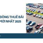 Mẫu hợp đồng thuê bãi đậu xe mới nhất 2025.jpg